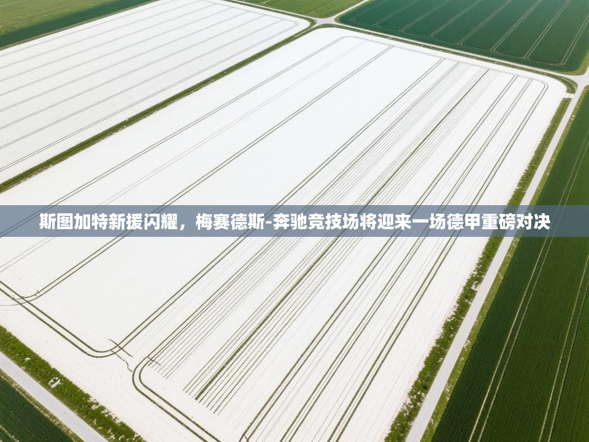 斯图加特新援闪耀,梅赛德斯-奔驰竞技场将迎来一场德甲重磅对决 第2张