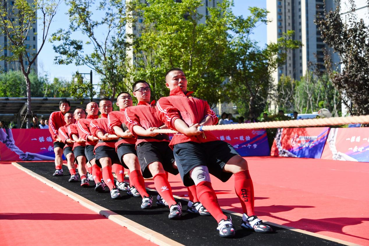 拔河比赛激烈对抗，团队合作凸显